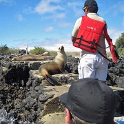 Sea lions blocking the path, Isla Lobos by San Cristobal 208.jpg