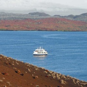Bartolome, Galapagos 2.JPG
