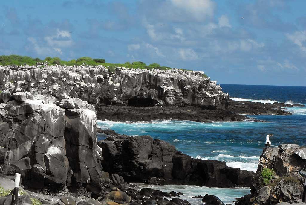 Espanola, Galapagos 10