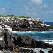 Espanola, Galapagos 10.JPG