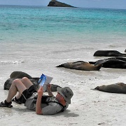 Galapagos Sea Lions with Paul, Espanola 02.JPG