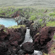 Rabida, Galapagos 05.JPG