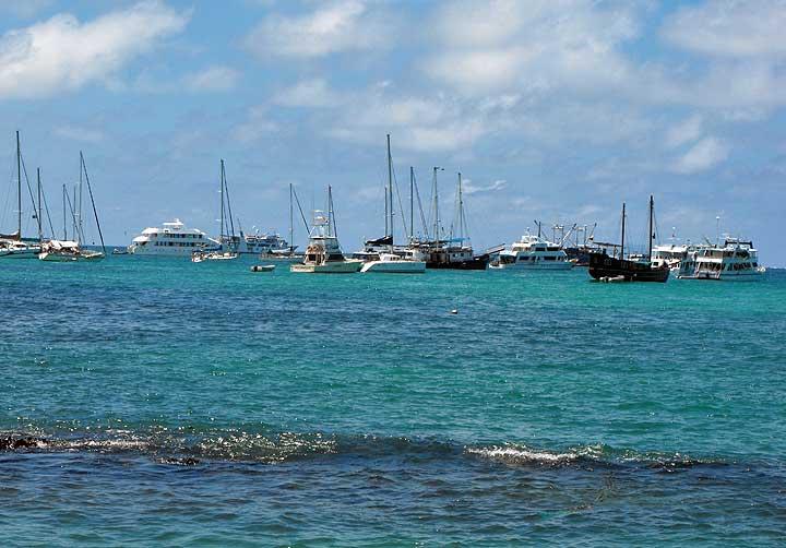 Puerto Ayora, Santa Cruz, Galapagos 05