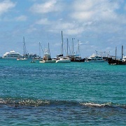 Puerto Ayora, Santa Cruz, Galapagos 05.JPG