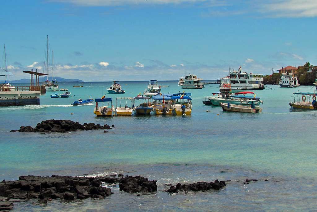Puerto Ayora harbor, Santa Cruz 104