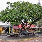 Puerto Ayora, Santa Cruz 105.jpg