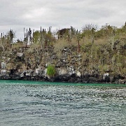 Puerto Ayora, Santa Cruz 112.jpg