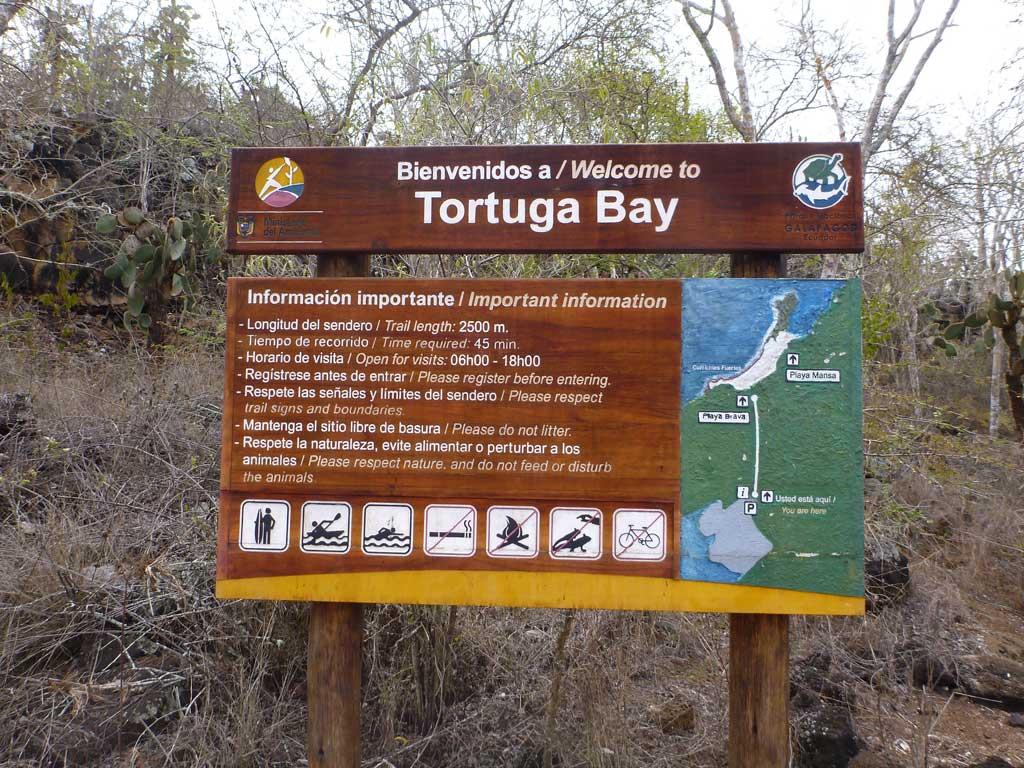Tortuga Bay, Santa Cruz, Galapagos 112