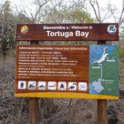 Tortuga Bay, Santa Cruz, Galapagos 112.jpg