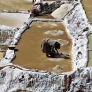Working the Maras Salt Mines 108.jpg