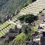 Machu Picchu, Peru 3508.jpg
