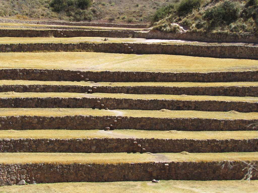 Moray, steps between levels 111