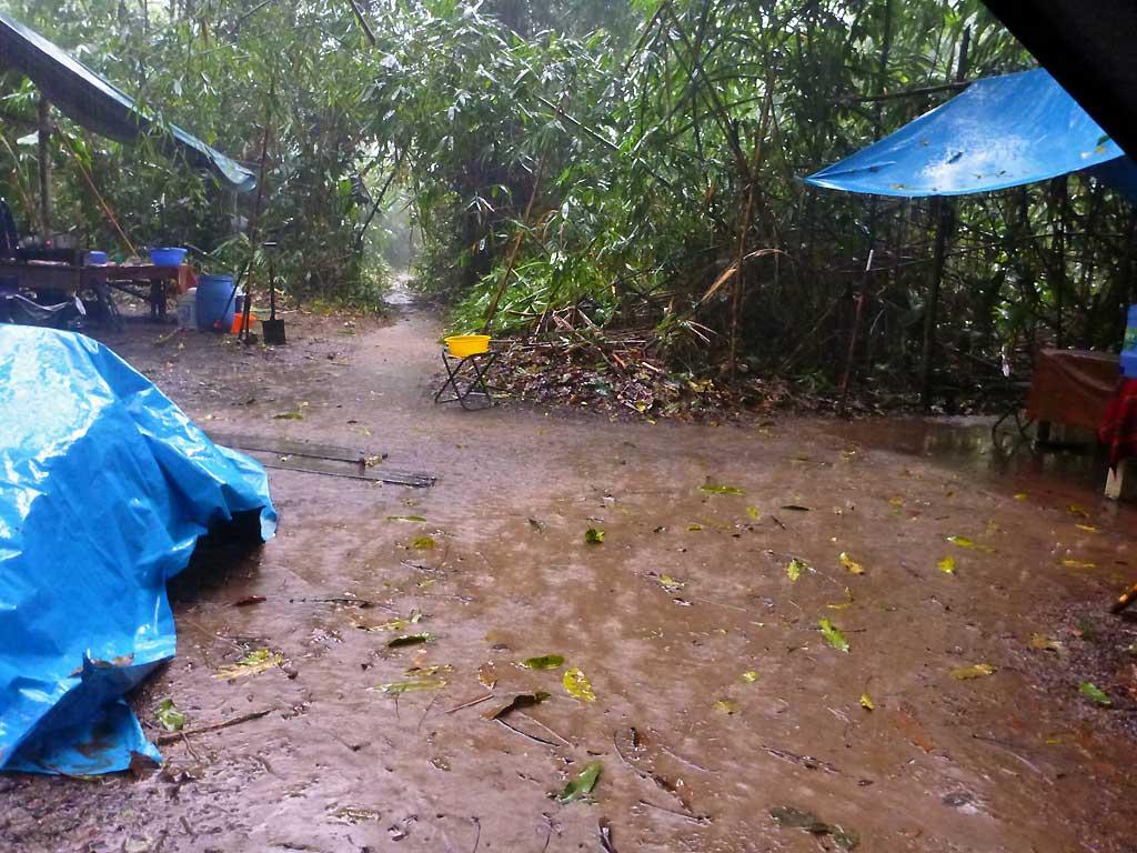 Downpour at Tambopata River camp 187