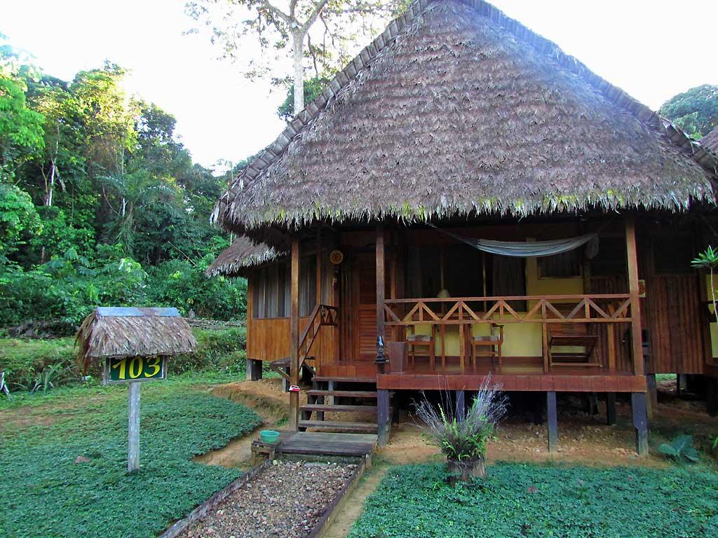 Tambopata Eco Lodge, near Puerto Maldonado 113