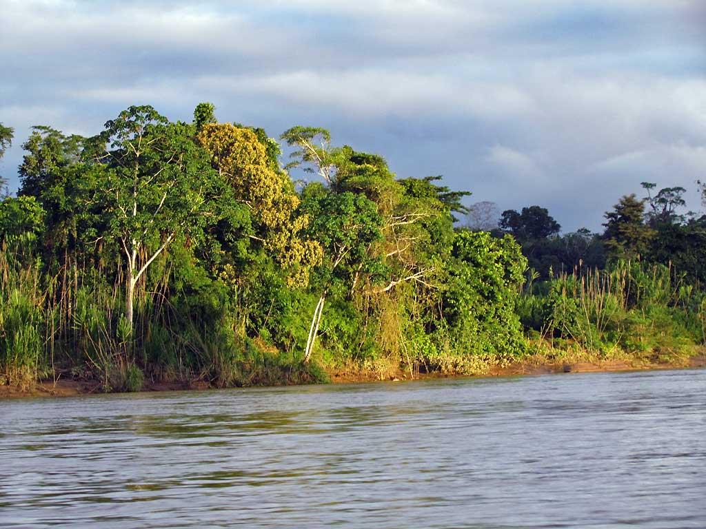 Tambopata River, Peru 107