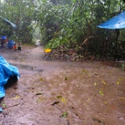 Downpour at Tambopata River camp 187.jpg
