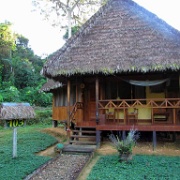 Tambopata Eco Lodge, near Puerto Maldonado 113.jpg