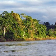 Tambopata River, Peru 107.jpg