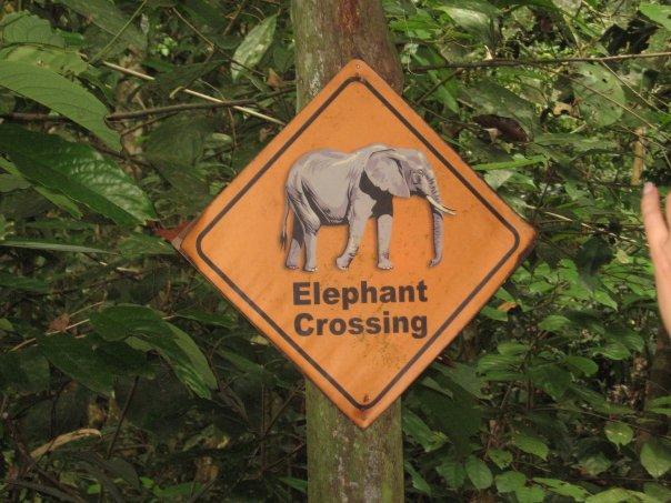 Elephant crossing sign, Malaysia