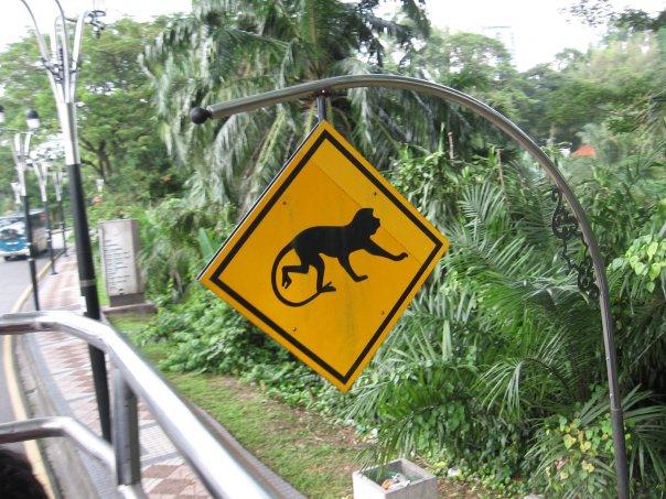 Monkey sign, Malaysia