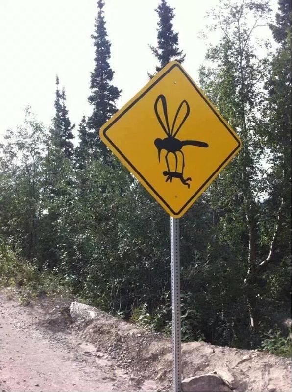 Mosquito Warning, Yukon, Canada