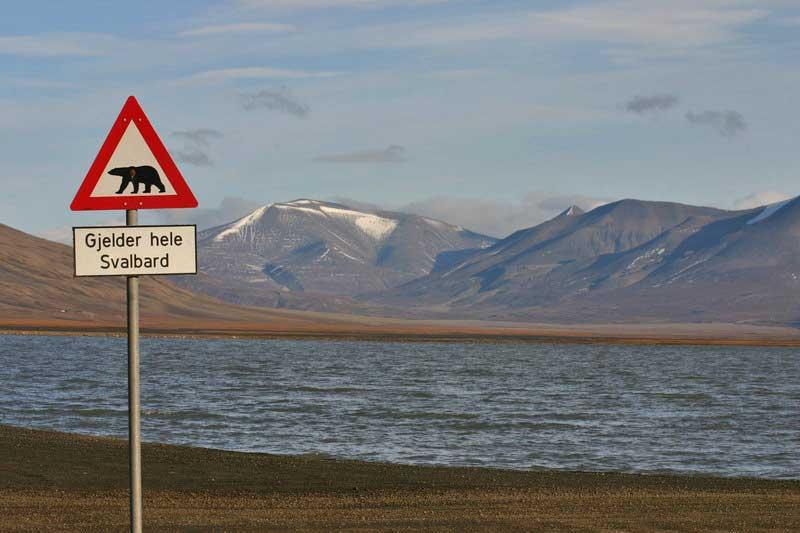 Polar bear warning, Svalbard, Norway 3821775