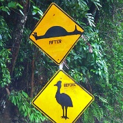 Cassowary sign in the Daintree Rainforest of Queensland 4117452.jpg