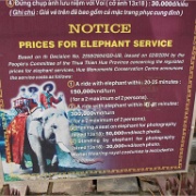 Elephant Pricing sign - Vietnam.jpg