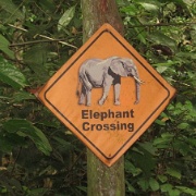 Elephant crossing sign, Malaysia.jpg
