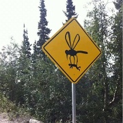 Mosquito Warning, Yukon, Canada.jpg