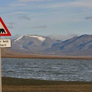 Polar bear warning, Svalbard, Norway 3821775.jpg