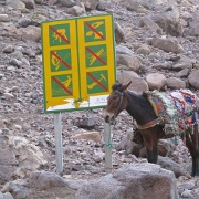 Signs forbidding lots of things, Morocco.jpg